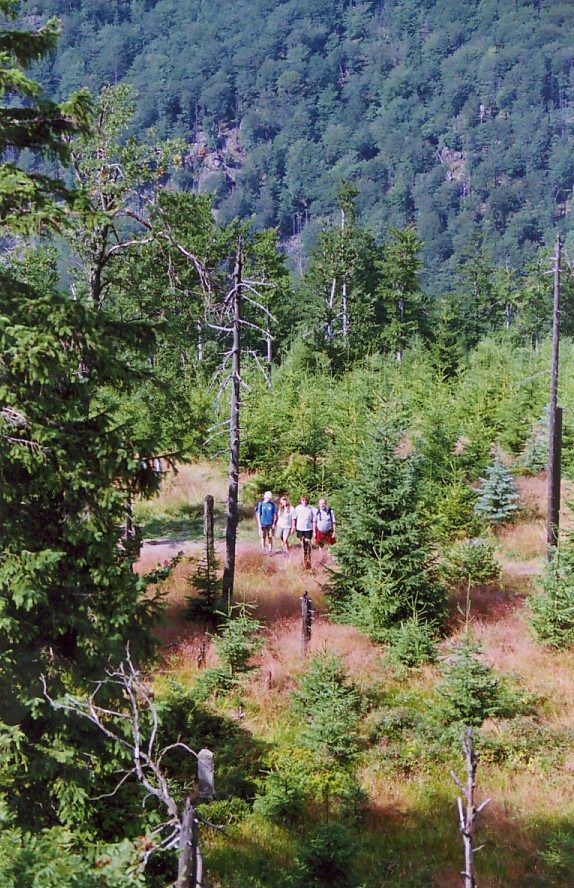z góry