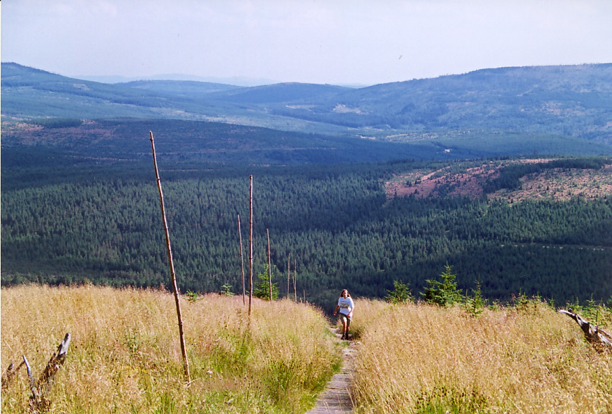 trekking - Smrek